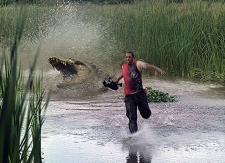 Cá sấu: Cá sấu được coi là quái vật dữ tợn trong thế giới động vật ngay cả dưới nước và trên cạn. Với bản tính hung hãn và hiếu chiến cùng cú đớp nhanh như chớp, trung bình mỗi năm cá sấu lấy đi tính mạng của hơn 1000 người.