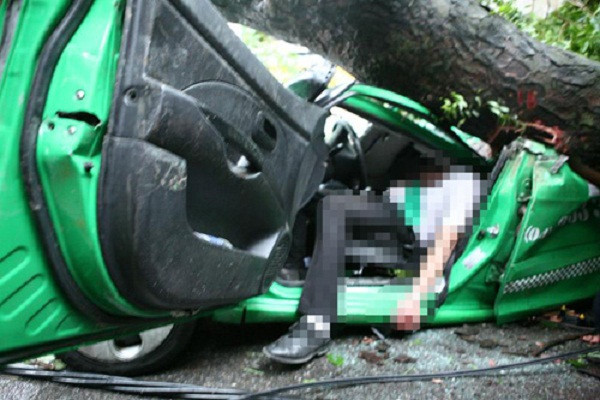 4. Vụ tai nạn bị cây đè thảm khốc trước đó xảy ra vào 17h15 ngày 18/8/2012, trước cửa ngôi nhà số 95 Lò Đúc (Hai Bà Trưng, Hà Nội) gây ra cái chết thương tâm cho tài xế Phạm Tuấn Anh (SN 1978, trú tại Trần Khát Chân, Hà Nội).