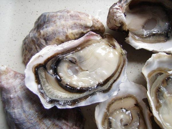 Hàu. Những chuyến đi biển mùa hè, bạn không thể bỏ qua loại thực phẩm ngon lành này. Tuy nhiên, hàu sống có thể chứa vi khuẩn parahaemolyticus Vibrio và Vibrio vulnificus, có thể gây tiêu chảy, nôn mửa, đau bụng ở những người khỏe mạnh. Đối với những người bị bệnh gan, tiểu đường, ung thư, rối loạn dạ dày hoặc bất kỳ điều kiện khác liên quan đến hệ miễn dịch, Vibrio vulnificus có thể xâm nhập vào máu, đe dọa tính mạng.
