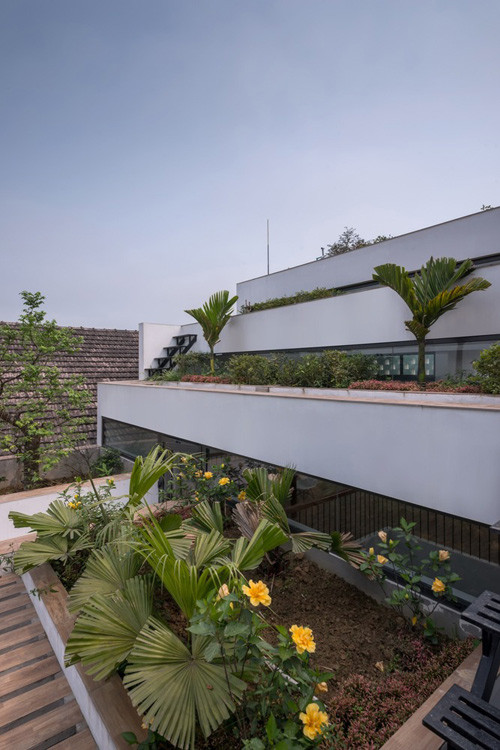 Ngôi nhà giúp gợi lên xuất xứ địa phương của người sử dụng trong bối cảnh thế giới phẳng với nhiều loại ô nhiễm như hiện nay,đồng thời thúc đẩy nhân rộng những thửa ruộng trong đô thị nhằm đảm bảo năng lượng cho cuộc sống trong tương lai.