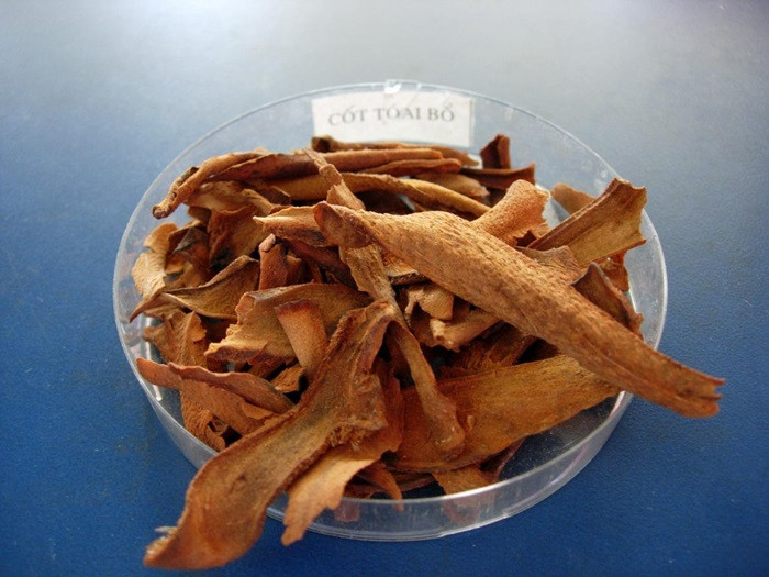 Bàng quang dê, bổ cốt. Mỗi lần dùng 15g bổ cốt, 150-200g bàng quang dê thái nhỏ. Ninh nhừ, thêm vào một chút muối và ăn cái uống nước. Ảnh: Caythuoc.