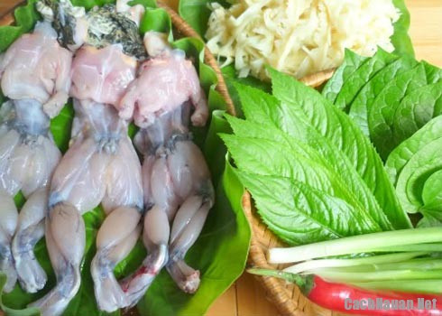 5. Lẩu ếch. Nguyên liệu: Giò sống, thịt lợn nạc, măng củ, đậu phụ, váng đậu, rau muống, lá lốt, mùi tàu, lá chanh, nấm hương, sả, tỏi, hành khô, gia vị: hạt tiêu, sa tế, ớt bột, me chua. Ninh xương lấy nước. Nêm gia vị vào nước dùng cho vừa ăn vào cho me chua vào cùng. Ảnh: cachnauan.net.