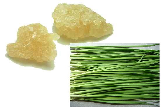 Lấy một nắm lá hẹ vừa đủ đem rửa sạch, để cho ráo nước rồi cắt nhỏ cho vào chén. Sau đó thêm đường phèn rồi đem đi hấp cách thủy. Đối với trẻ em, chắt lấy nước hẹ cho trẻ uống 2 lần mỗi ngày, mỗi lần uống khoảng 2 -3 muỗng, uống trong vài ngày trẻ sẽ giảm ho. Đối với người lớn, ăn luôn cả xác và nước để đạt hiệu quả cao. Ảnh: chuyenkhoataimuihong.com.