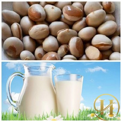 Giúp giữ ẩm da: Đun sôi hạt mít, nghiền chúng thành bột nhão rồi thêm sữa. Bôi hỗn hợp lên da và để trong ít nhất 15 phút. Sau đó, rửa sạch da bằng nước ấm. Ảnh: Drhaile.com.