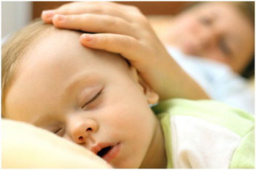 Dùng gối lá đinh lăng trị chứng ra mồ hôi trộm ở trẻ. Ảnh: Eva.vn.