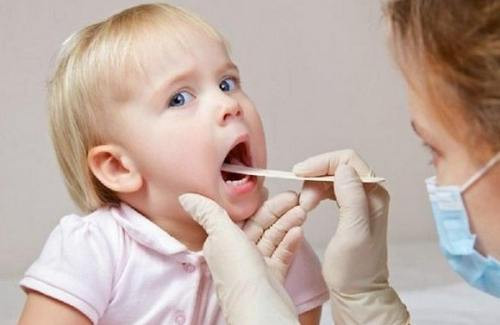 Chữa ho nhiệt, viêm họng, khản tiếng: Giã dập lá húng chanh, sau đó trộn với 10ml nước sôi để cho ngấm rồi gạn lấy nước cho trẻ uống, ngày uống 2 lần. Dùng cho trẻ trên 2 tuổi. Ảnh: chuyenchuaviemhong.com.
