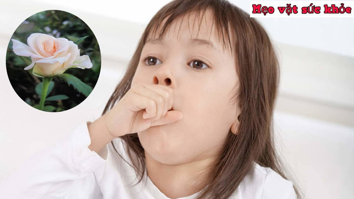 Đến khi cơm gần chín, đường phèn tan hết ra là được. Lấy hỗn hợp vừa hấp từ nồi cơm ra ngoài, vắt lấy nước và chia là 3 lần uống trong ngày. Thực hiện 2 – 3 ngày sẽ khỏi bệnh.