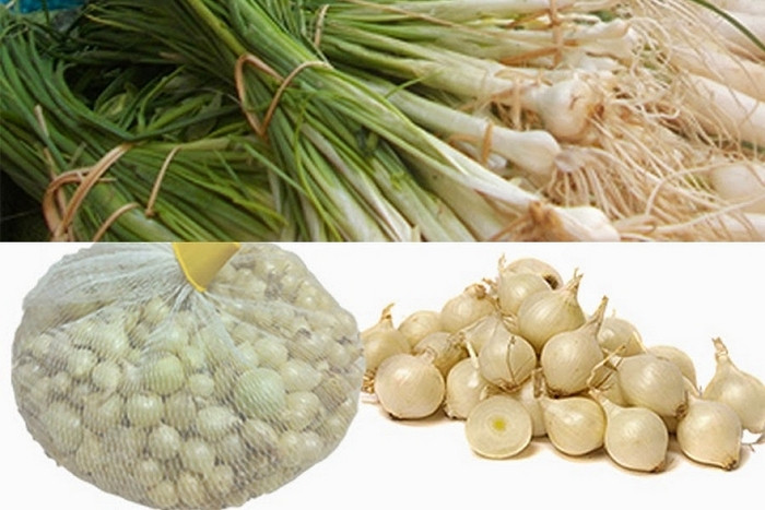 3. Chữa ho gà. Lấy củ hoặc lá hành tăm giã nát hấp cách thủy với đường phèn, lấy nước uống. Ảnh: VTC.