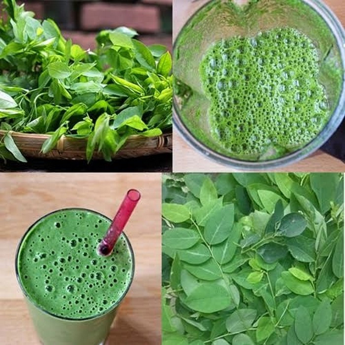 Rau ngót. Cách thực hiện rất đơn giản bạn chỉ cần giã rau ngót ra sau đó trộn với 1 ít nước ép gừng, dùng một chiếc khăn rồi vắt lấy nước thoa đều lên da mặt, chăm chỉ thực hiện hàng ngày. Bạn cũng có thể dùng nước sinh tố rau ngót sống để uống hàng ngày. Ảnh: Adiva.