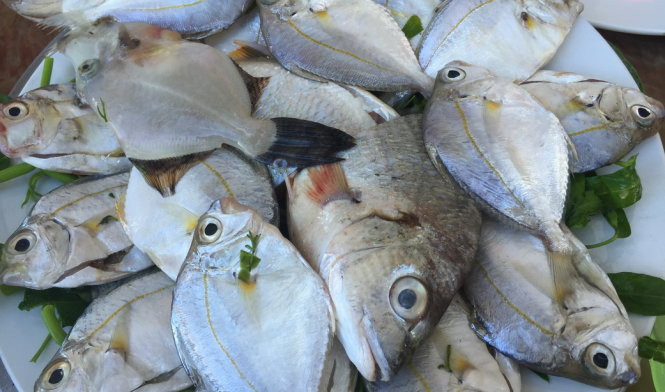 2. Canh cá ót thuyền chài. Cá mua về làm sạch, để ráo, cho vào xoong ướp chút muối hoặc bột canh, mỳ chính, để sẵn. Phi thơm hành, cho cà chua, nêm nước mắm, bột gia vị vào, xào chín; sau đó đổ sang nồi nước me (me đã được nấu chín, dằm, lọc bỏ bã, lấy nước chua vừa ý). Ảnh: dulich.tuoitre.vn.