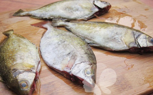 3. Canh cá rìa thuyền chài. Cá mổ bụng, bỏ mang, đặc biệt là phải làm sạch ruột, bởi cá rìa ăn tạp ruột bẩn, đắng và nhiều sạn. Làm cá xong, rửa sạch rồi để ráo nước. Nước nấu chỉ cần thả vài lát bứa chua hoặc me, đun sôi rồi thả cá rìa vào. Nhiều nơi còn cho vài lát cà chua, ít hành và thì là cho thêm vị. Ảnh: niemdamme.com.vn.