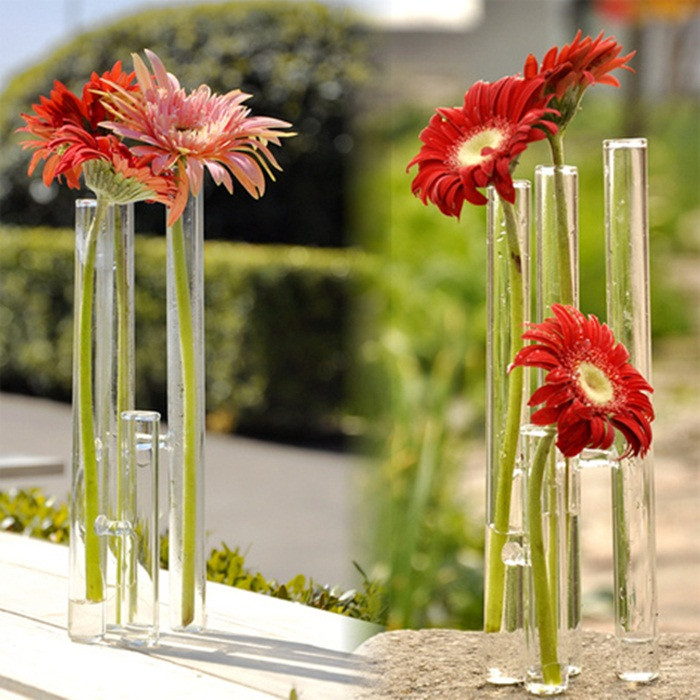Chính vì thế mà trong những dịp lễ Tết, hoa đồng tiền được chưng trong nhà rất nhiều. Bên cạnh đó, người ta còn dùng hoa đồng tiền làm thuốc chữa rất nhiều bệnh. Ảnh: Lamsao.