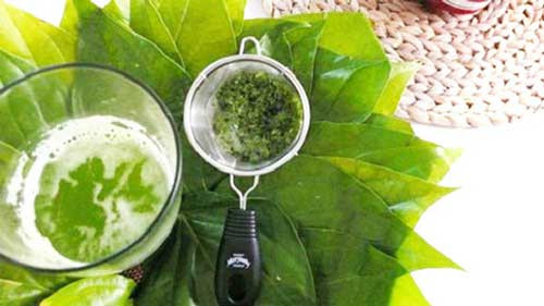3. Dùng lá trầu không, rau răm, muối hột: Đem khoảng 10 lá trầu và 20 ngọn rau răm rửa sạch, cho vào nấu chung với 2 lít nước cho sôi. Khi nước sôi cho vào thêm 1 muỗng muối hột. Pha thành nước ấm và tắm mỗi tuần 2-3 lần, những ngày khác tắm bằng nước ấm bình thường. Ảnh: anlieu.com.