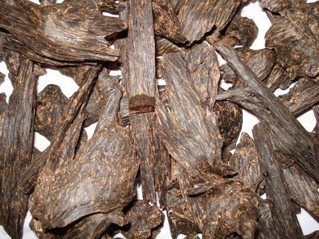 5. Nước hoa tự chế từ tinh dầu trầm hương và xạ hương. Nguyên liệu: Tinh dầu gỗ đàn hương (giọt), tinh dầu xạ hương (giọt), tinh dầu trầm hương (giọt), muỗng tinh dầu joioba. Ảnh: tramhuongtienphong.vn.