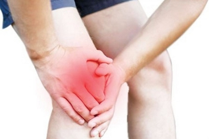 Trị phong thấp. Dùng 10g bồ hóng, 40g cây vòi voi, 30g cây cỏ xước, 30g rễ cây trinh nữ. Cho tất cả các vị thuốc trên sắc với 3 chén nước để còn lại 1 chén. Uống khi còn ấm mỗi ngày 1 thang. Bên cạnh đó, người bệnh nên kết hợp xoa bóp để tăng thêm hiệu quả. Ảnh: Phongthuydongduong.