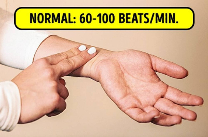 2. Kiểm tra sự hoạt động của tim. Cách thực hiện: Ngồi yên tĩnh 5 phút trong im lặng và đặt 4 ngón tay vào phía bên trong cổ tay để tìm mạch. Đếm số nhịp mạch đập trong một phút. Ảnh: baoxaydung.com.vn.