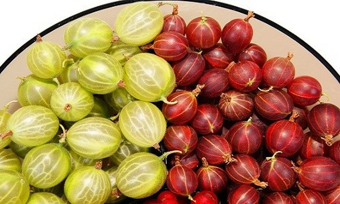 Quả amla và dầu hạnh nhân: Massage hỗn hợp dầu hạnh nhân và quả amla lên da đầu. Để qua đêm trước khi xả sạch. Biện pháp này sẽ giúp trị tóc bạc ở trẻ. Ảnh: Hoaquanhapkhau.