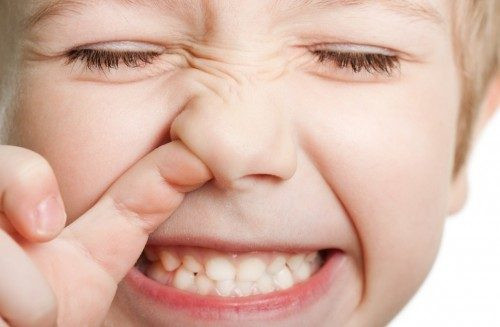 3. Chữa chảy máu cam, tiêu chảy ra máu: Chuẩn bị lá sen khô 40g, rau má 12g. Cho 2 nguyên liệu này vào ấm, thêm 400ml nước sắc thành 100 ml thuốc, chia làm 2 lần uống trong ngày. Ảnh: GiaDinh.TV.