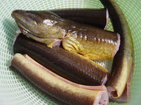 3. Lươn nướng ống tre. Nguyên liệu: Lươn, sả, bột nghệ, ớt, gia vị, bún. Dụng cụ: Ống tre, than củi. Lươn làm sạch, cắt khúc 3 - 4cm ướp với nghệ, mì chính, tiêu, muối, sả, ớt, đường trong 20 phút. Ảnh: Nauzi.com.