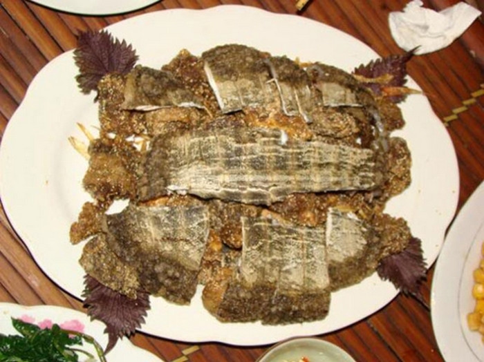 4. Thịt rùa đen, dạ dày lợn. Mỗi lần dùng 200g thịt rùa đen, 200g dạ dày lợn. Hai thứ này thái nhỏ cho thêm một ít muối và cho thêm 4 bát nước ninh nhỏ lửa cho đến khi chỉ còn ½ bát. Dùng ăn cả nước lẫn cái. Bài thuốc từ dạ dày này có công dụng trị bệnh viêm loét dạ dày mãn tính. Ảnh: Homnayangi.