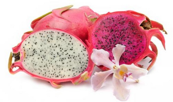Thanh long chữa gan nhiễm mỡ, thừa cân béo phì. Dùng thanh long 200g, dứa chín 100g, làm sinh tố hoặc ép nước uống nhiều ngày. Ảnh: Thongtin24h. (Thông tin trong bài chỉ mang tính tham khảo, trước khi sử dụng bài thuốc, bạn vui lòng hỏi ý kiến bác sĩ).