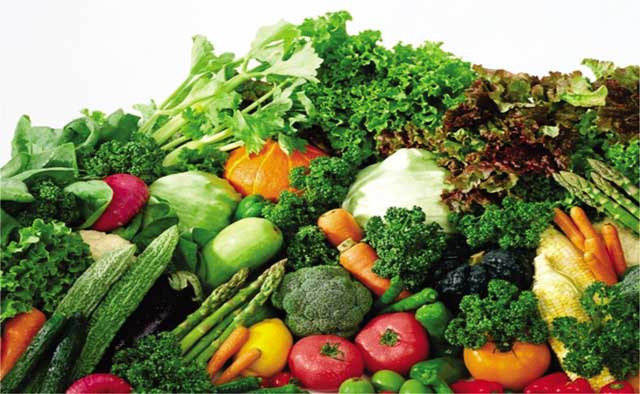6. Ưu tiên các thực phẩm sau: Trứng gà, các loại rau xanh đậm, các loại hạt đậu, các loại cá như cá mòi, cá ngừ, cá hồi. Ảnh: Tatiomax.com.vn.