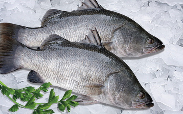 2. Cá chẽm cuộn măng. Nguyên liệu: Cá chẽm, măng tươi, cải bó xôi, sả, gừng, cà chua, dầu mè, dầu ăn, dầu hào, xì dầu, đường, bột ngọt, ớt bột, tiêu, hành lá, rượu trắng. Măng cắt sợi, luộc măng hai lần, mỗi lần để măng sôi khoảng 5 phút rồi rửa sạch lại bằng nước lạnh. Ảnh: Cooky.vn.