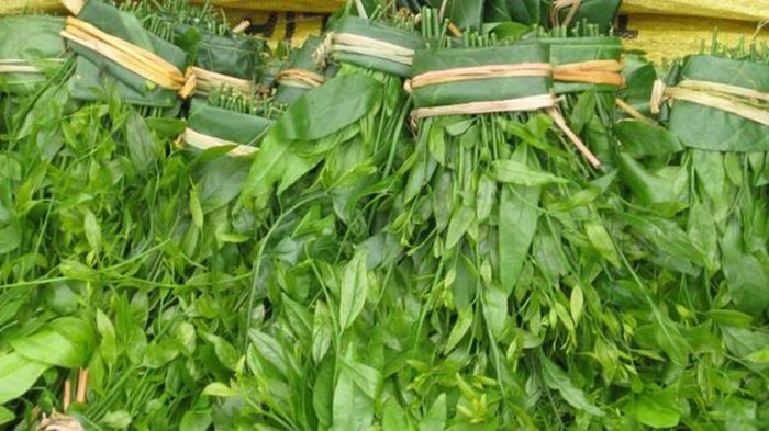 Rau sắng Chùa Hương còn được gọi là rau ngót rừng được dùng để nấu canh ăn rất mát. Rau sắng mọc vào mùa xuân ở khắp các vùng núi miền Nam, miền Bắc nhưng rau sắng ngon nổi tiếng nhất là ở Chùa Hương. Ảnh: Dulichchuahuong.