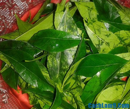 1. Lợn mán xào lá móc mật. Nguyên liệu: Thịt lợn mán, riềng xay, sả, lá móc mật, hành khô, tiêu, gia vị. Thịt lợn mán thái lát mỏng chừng 0,5cm. Ướp thịt lợn với các gia vị. Công thức ướp bao gồm: sả, riềng, hành khô bằm nhỏ, 2 thìa nước mắm, ½ thìa đường, ¼ thìa tiêu. Ảnh: cachlam9.com.