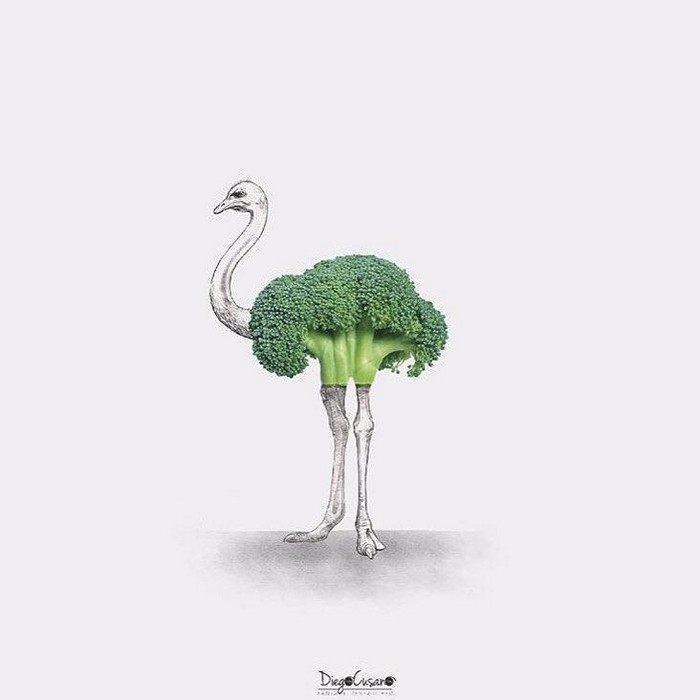 Đà điểu từ súp lơ.