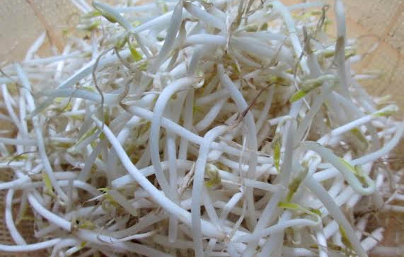 6. Dưa giá đỗ. Nguyên liệu: Giá, hẹ, đường, giấm, muối, cà rốt, ớt, tỏi. Cà rốt thái sợi rồi mang đi rửa. Để giá, hẹ, cà rốt sau khi rửa lên rổ cho ráo nước. Tỏi thái nhỏ. Ớt thái chỉ. Hẹ thái nhỏ. Ảnh: nguoiduatin.vn.