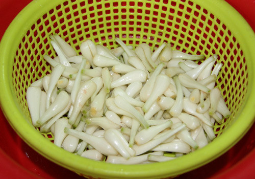 4. Củ kiệu muối chua ngọt. Nguyên liệu: Củ kiệu, cà rốt, vôi bột, đường phèn, ớt, đường trắng. Củ kiệu mua về ngâm với nước tro qua đêm rồi vớt ra để ráo nước. Tiếp tục ngâm kiệu với nước phèn chua rồi để ngoài nắng khoảng 4 tiếng. Ảnh: doisongphapluat.com.