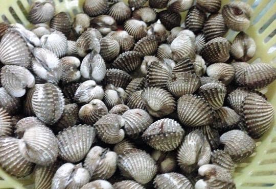 2. Tiết canh sò huyết: Đây là món ngon không thể thiếu mù tạt. Nguyên liệu: Sò huyết, chanh, mù tạt, ngò gai, ngò om, lạc rang. Sò huyết mua về phải còn thật tươi, ngâm trong nước để nhả hết chất bẩn, sau đó được chẻ đôi để lấy tiết từng con, rồi cho vào đĩa. Ảnh: 24h.com.vn.