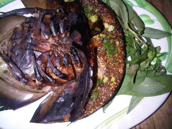 3. Chân sam xào chua ngọt. Nguyên liệu: Giềng, sả, ớt, lá lốt, sam, gia vị, dầu ăn. Ướp chân sam với giềng, sả, ớt cùng gia vị. Làm nóng chảo, chiên sơ sam với dầu ăn. Pha sốt chua ngọt bằng cách trộn đều tương cà, tương ớt chua ngọt, giấm, đường, nước mắm, hạt nêm rồi nêm nếm lại cho vừa ăn. Ảnh: kienthuc.net.vn.