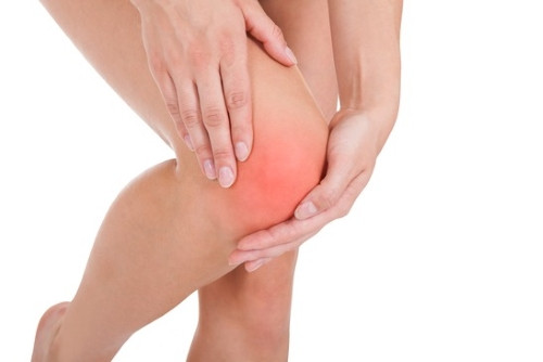 Chữa sưng tấy gối với những triệu chứng sau: trước phát bệnh mỏi đầu gối, 3 hôm sau vùng đầu gối đỏ và sưng to lên, người lên cơn sốt nhẹ, không đi lại được. Dùng cây tươi, chặt thành từng đoạn nhỏ, giã cho dập, bỏ vào nồi sao với giấm hoặc với rượu gói vào miếng vải, buộc vào chỗ sưng. Làm như vậy khi có kết quả thì ngừng. Ảnh: xuongkhopsaigon.com.