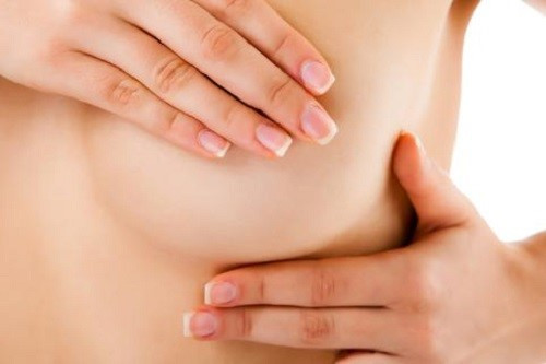 Chữa vú sưng đau do tắc tuyến sữa: Rễ đơn châu chấu. vỏ cây sảng, lá mua đỏ, bồ công anh và kim ngân, mỗi vị 10g đem giã với muối, trộn nước vo gạo đắp nơi vú sưng đau. Ngày đắp hai lần. Đắp liên tục trong 2 ngày. Ảnh: news.zing.vn.