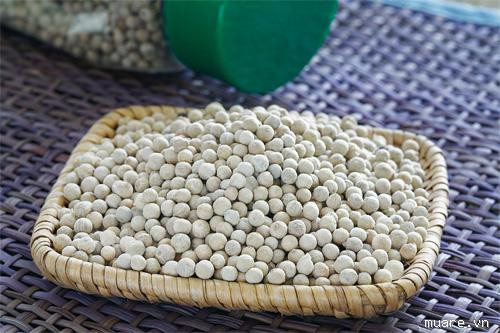 2. Hạt tiêu trắng: Hạt tiêu trắng có vị cay, mùi thơm, tính nóng, vào các kinh phế, tràng vị, có tác dụng trừ hàn, ấm bụng, giảm đau, tiêu thực, chống nôn, làm se. Dùng ít để kích thích tiêu hóa, giúp ăn ngon. Hạt tiêu trắng chuyên trị tiêu chảy với tác dụng sát khuẩn, trừ hàn thấp... Ảnh: hatdieu.org.