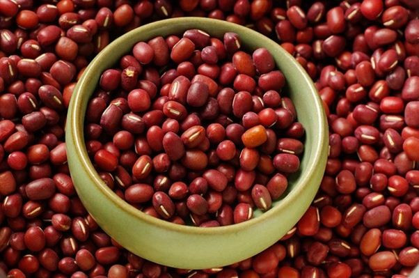 2. Hạt đậu đỏ. Đậu đỏ nhỏ hạt (xích tiểu đậu) tính bình, vị ngọt chua, có công dụng lợi tiểu, trừ mủ, tiêu ung nhọt độc... Theo y học hiện đại, xích tiểu đậu có tác dụng kháng khuẩn, tiêu viêm, lợi tiểu, hạ cholesterol và chống ung thư. Sau đây là một số bài thuốc từ loại đậu này. Ảnh: shopdoque.com.