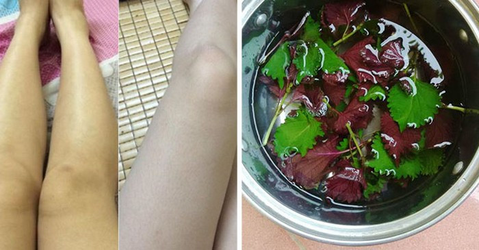 Bên cạnh những phương pháp tắm trắng từ công nghệ cao hiện đại thì những liệu pháp tắm trắng từ lá cây cũng luôn là lựa chọn của rất nhiều người. Với những lá cây không khó tìm xung quanh, bạn sẽ có được làn da như ý nếu sử dụng đúng cách và kiên trì.