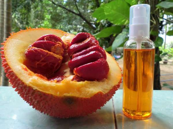 Cách làm: Tách thịt gấc ra khỏi hạt, dùng rượu 40 độ. Cho phần thịt gấc vào bình rồi chế rượu vào. Đảm bảo làm sao để thịt gấc ngập trong rượu. Sau đó đậy nắp lại, bảo quản ở nơi khô thoáng, nhiệt độ ổn định và tránh ánh sáng trực tiếp từ mặt trời. Thời gian ngâm chừng 40-45 ngày là có thể sử dụng. Tuy nhiên rượu gấc càng để lâu càng tốt nhé. Ảnh: ruoukimson24.com.