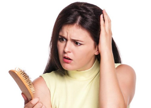 8. Cây hương nhu gội đầu ngăn rụng tóc: Dùng lá và thân hương nhu cùng quả bồ kết đun sôi khoảng 1h để chúng ra hết tinh dầu. Lấy khăn mỏng lọc lấy nước để nước nguội còn ấm để gội đầu, mát xa da đầu nhẹ nhàng để tăng độ ẩm cho da đầu, chú ý không dùng móng cào vào da đầu khiến gàu càng nhiều hơn. Ảnh: thuocthang.vn.