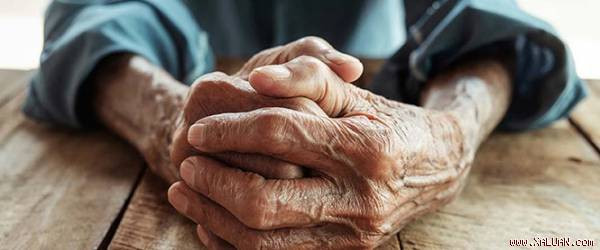 Tăng cường dẫn truyền thần kinh, ngăn chặn hình thành các mảng bám, đám rối trong não, nuôi dưỡng tế bào não, trị các bệnh Alzheimer, teo não và sa sút trí tuệ. Ảnh: xaluan.com. (Thông tin trong bài chỉ mang tính chất tham khảo, trước khi sử dụng bài thuốc, vui lòng hỏi ý kiến bác sĩ).