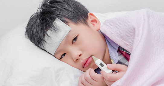 Trẻ sốt cao: Đơn kim thảo hoa và lá 20g, sài đất 20g, giã nát vắt lấy nước cho trẻ uống ngày 2-3 lần, còn bã thuốc đắp lòng bàn chân cho trẻ. Ảnh: Songkhoe.vn.