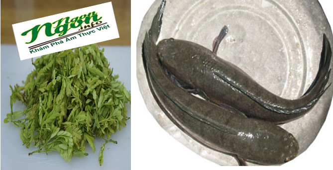 Sau đây là 2 món ăn giải nhiệt, ngừa ngứa lở loét từ lá me. 1. Món canh chua cá lóc. Nguyên liệu: Cá lóc, dứa, cà chua, đậu bắp, dọc mùng, giá đậu, me chua chín, lá me, rau thơm, hành, ngổ, hành khô, tỏi, muối, hạt nêm, đường, ớt bột, tiêu, nước mắm, dầu ăn. Ảnh: monngon.info.