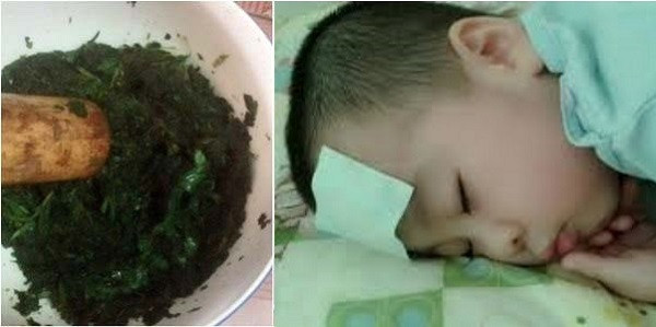 Đối với trẻ sơ sinh, các mẹ chỉ cần lấy một nhúm lá diếp cá, giã nát và đắp lên trán, dùng băng gạc quấn lại. Để như vậy trong 30 phút thì tháo ra. Lá diếp cá sẽ giúp cơ thể trẻ sơ sinh nhanh hạ sốt. Ảnh: camnangtri.com.