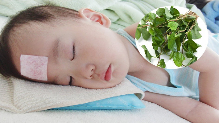 Nếu trẻ có sản giật thì dùng rau diếp cá (8g) phối hợp với củ sả (6g), quả xuyên tiêu (2g), cách làm và sử dụng như trên. Ảnh: Youtube.com.