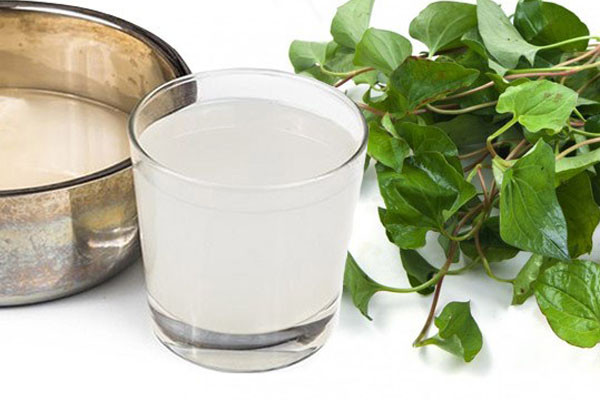 1. Hạ sốt cho trẻ: Dùng nước vo gạo mới và đặc đun sôi nhỏ lửa với lá diếp cá đã giã nhuyễn, khi nhừ thì lấy ra để nguội rồi cho trẻ uống ngày 3 lần. Ảnh: Kidsplaza.vn.