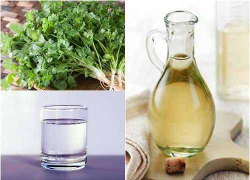 5. Rau mùi kết hợp với giấm trắng: Rau mùi xắt nhỏ và giã nát. Pha loãng dấm trắng với nước và cho rau mùi vào ngâm trong 15 phút. Chắt lấy nước rau mùi và giấm để riêng ra 1 cái chén khác, bỏ bã. Ảnh: meotritannhang.com.
