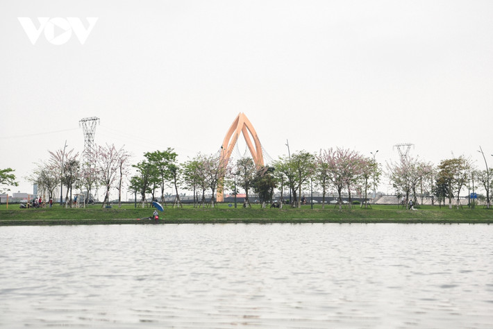 Mỗi lần đi qua cung đường ven hồ, vẻ đẹp của hoa đỗ mai khiến nhiều người xao xuyến, cảm giác như đang được ở tại Đà Lạt, nhất là vào sáng sớm khi thời tiết se lạnh. Nhiều du khách không cưỡng lại được vẻ đẹp của hoa và cả cung đường mà lưu lại những kỷ niệm trong những ngày cuối tháng 3.