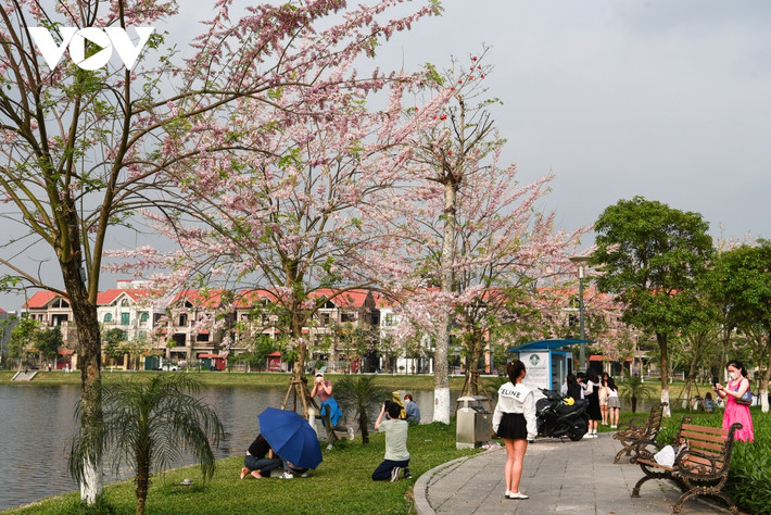 Nhiều du khách đã không ngại đường xa để ghé chiêm ngưỡng, chụp cho mình những tấm hình đẹp.